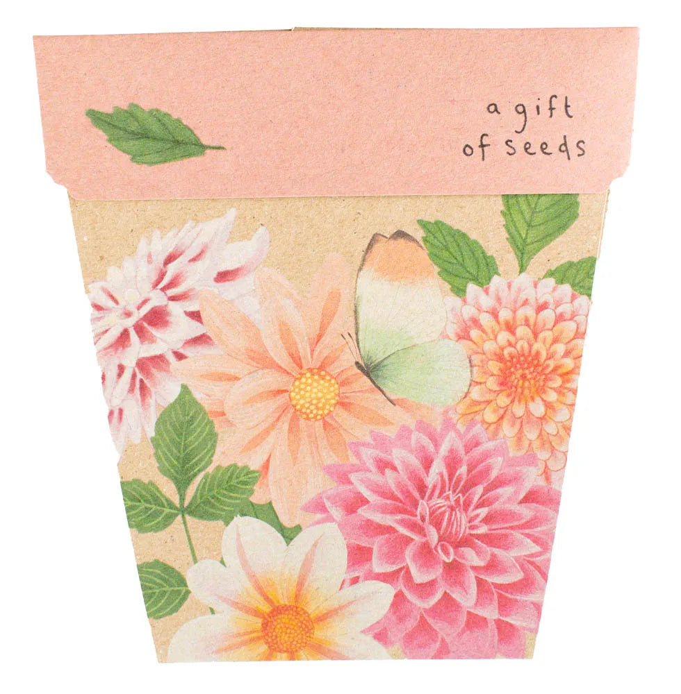 Gift Of Seeds Dahlia