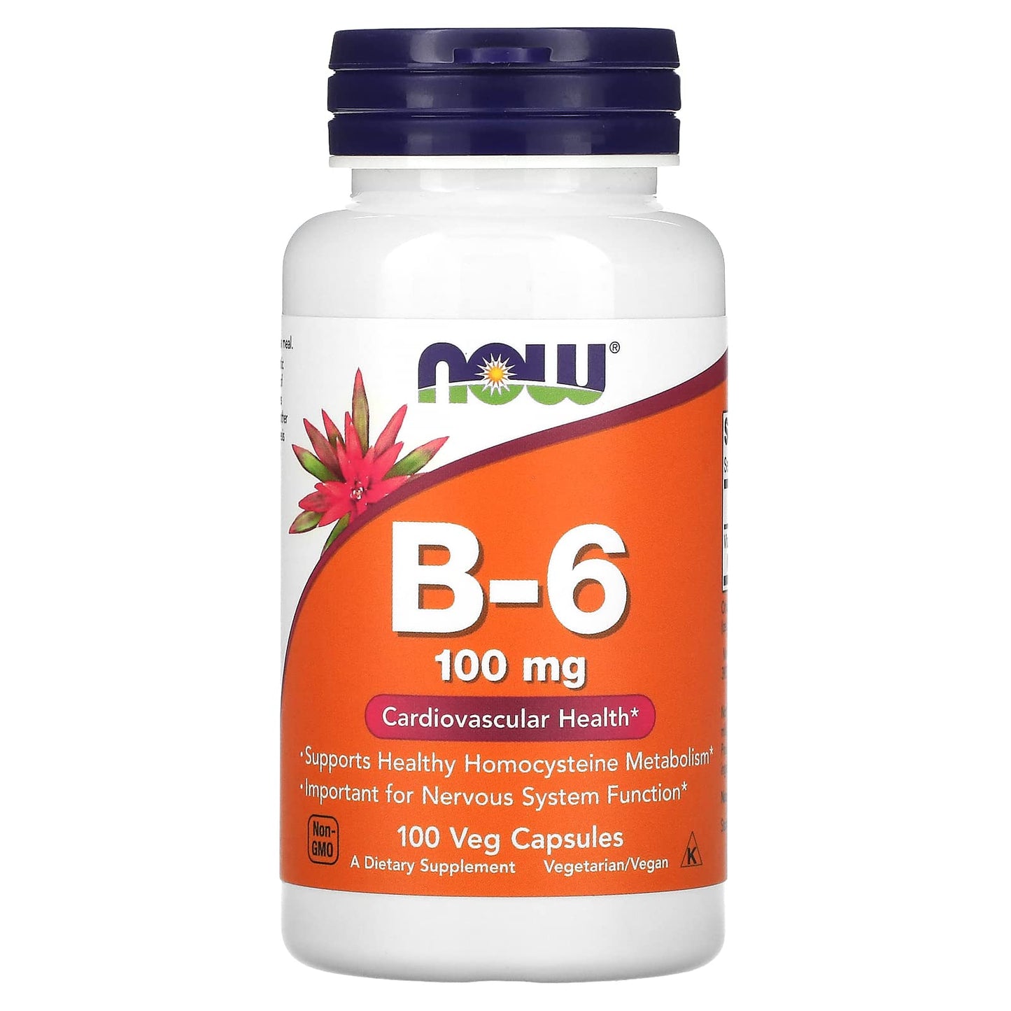 Now Foods B-6 100mg 100 Caps