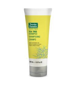 Tp Tea Tree Spoo E/Day 250mL