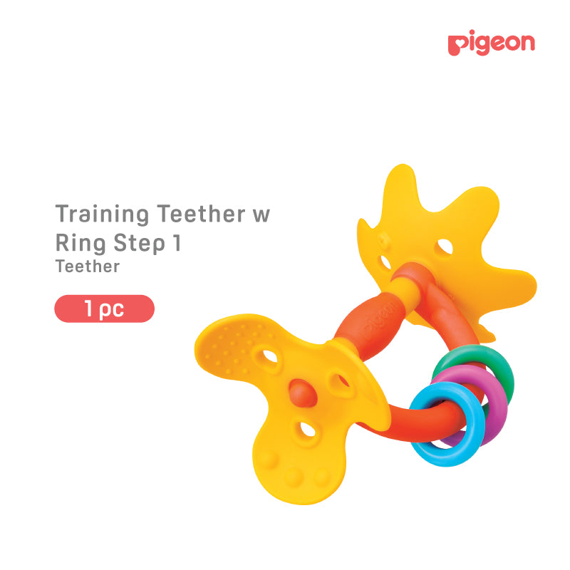 Pign Teether Training Step 1