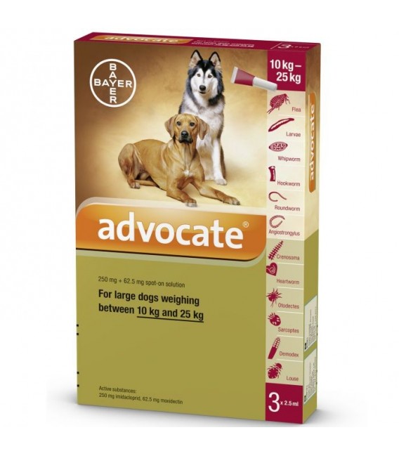 Advocate For Dogs Over 25Kg 3