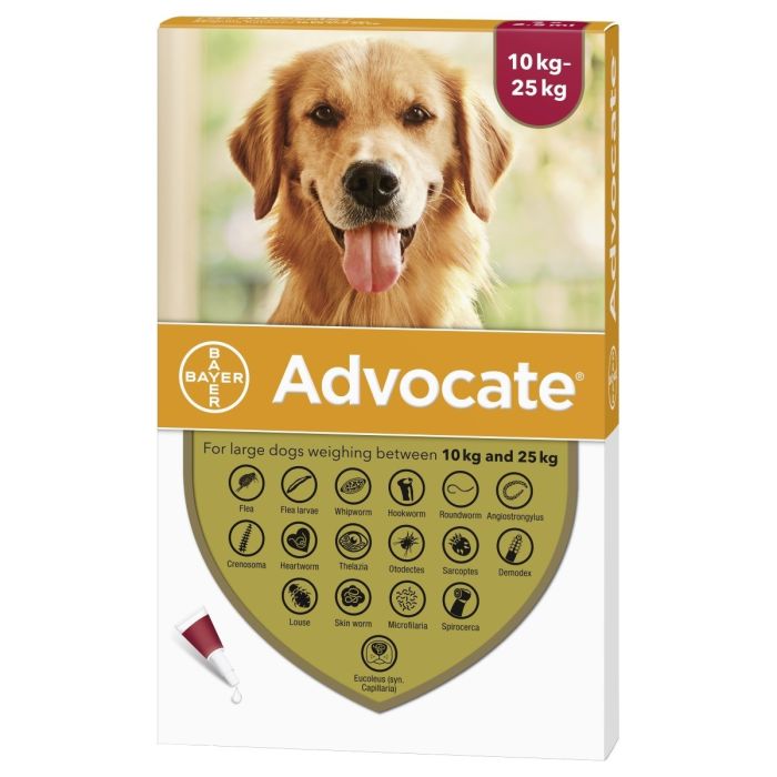 Advocate For Dogs 10-25Kg