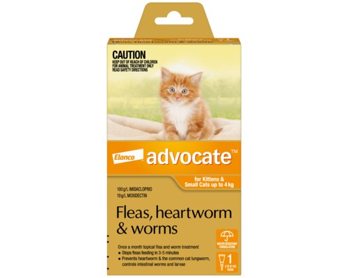 Advocate For Cats & Kittens Up To 4Kg 1