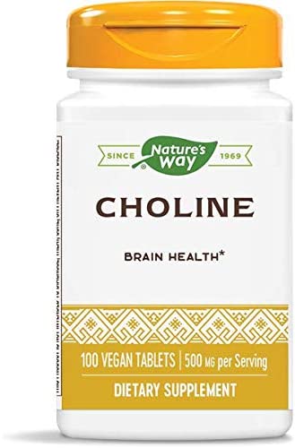 Natures Way Choline 500 mg 100 Tabs