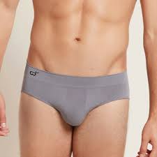 Original Briefs L